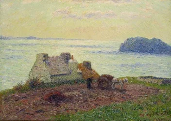 Unknown Image